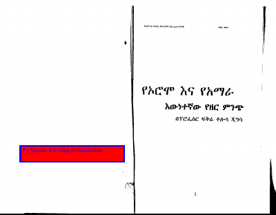 ①_የኦሮሞ_እና_የአማራ_እውነተኛወረ_የዘር_ምንጭ,.PDF